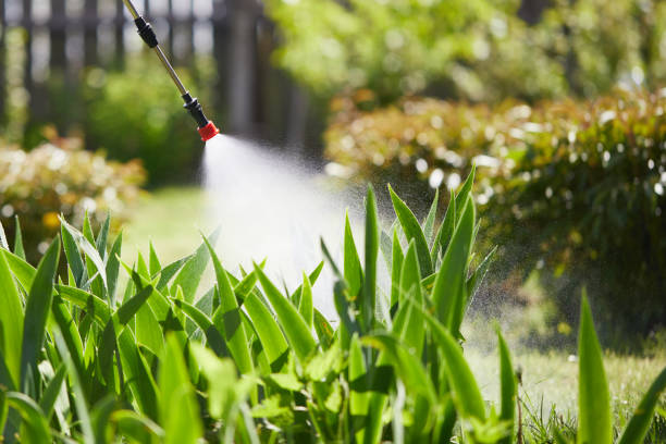 24/7 Emergency Mosquito Control experts in Silver Lake, NJ