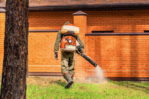 Top rated local Mosquito Control specialists in Silver Lake, NJ